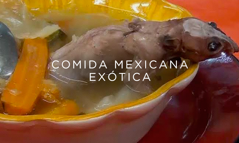 ? 8 comidas EXÓTICAS MEXICANAS que te sorprenderán | BMX
