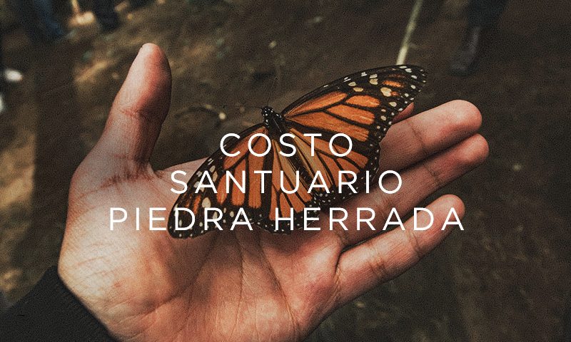 costo y precio del santuario piedra herrada Mariposa Monarca en Valle de Bravo