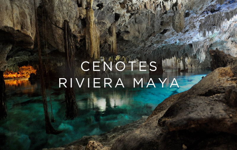 los mejores cenotes en la riviera maya