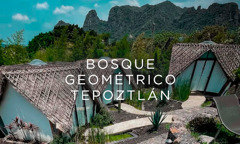 Bosque Geométrico en Tepoztlán