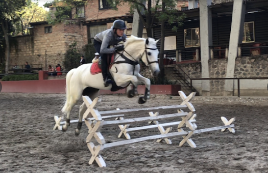 escuelas de equitación en CDMX