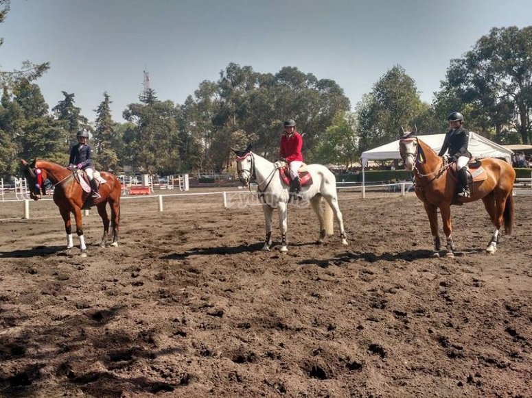 Escuela de Equitación Tlalpan y Asociados | Centros hípicos de equitación en CDMX