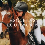 las mejores escuelas de equitación en CDMX del 2024 | aprende a montar a caballo