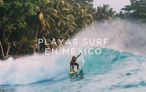 Las mejores 10 playas para surfear de México en 2024 | Aprende a surfear